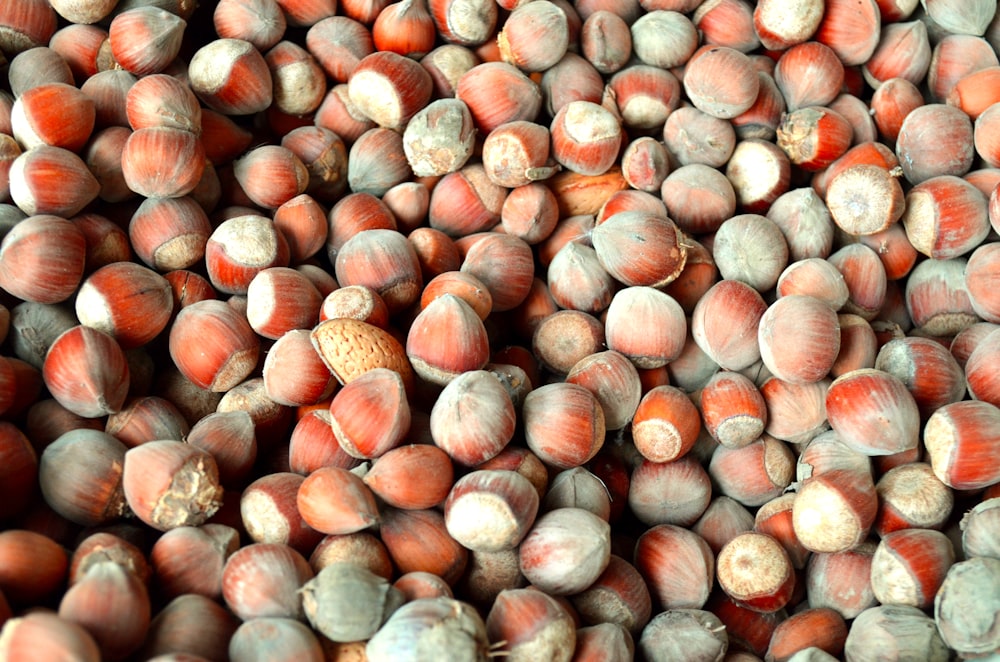 brown and green round fruits