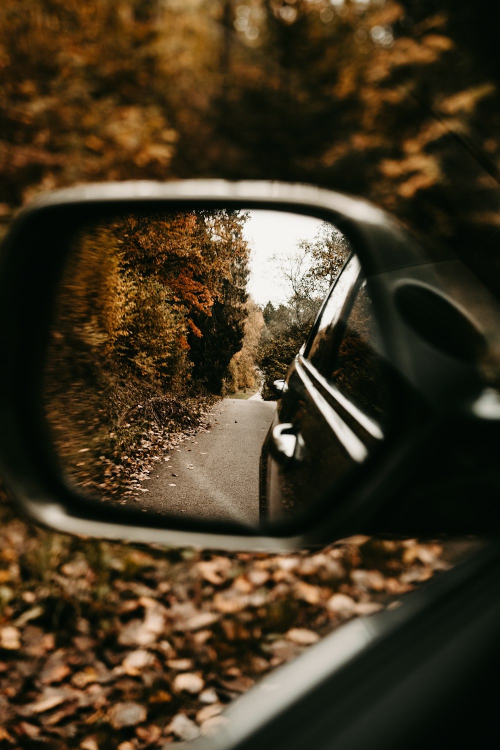 black car side mirror reflecting green trees during daytime