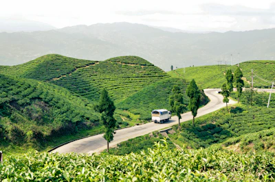 A winding road through lush green hills, with a Ramkrishna Travel bus making its way.