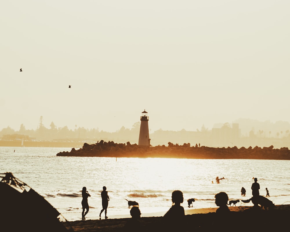 silhouette of people on beach during sunset