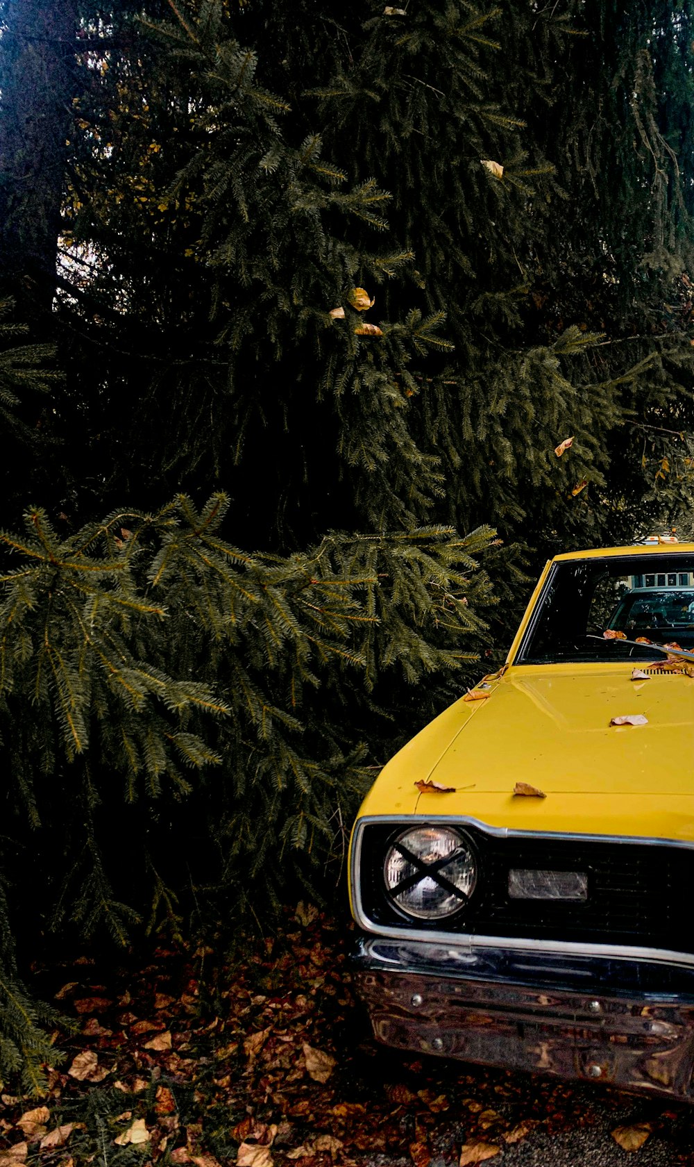 yellow car parked near green trees during daytime