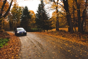 A driving lesson taking place near a scenic park in Calgary with autumn leaves
