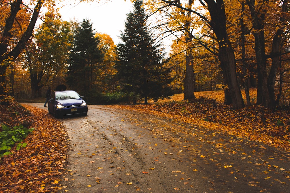 silver car on road between trees during daytime