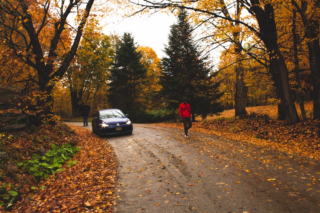 person in red jacket walking on pathway