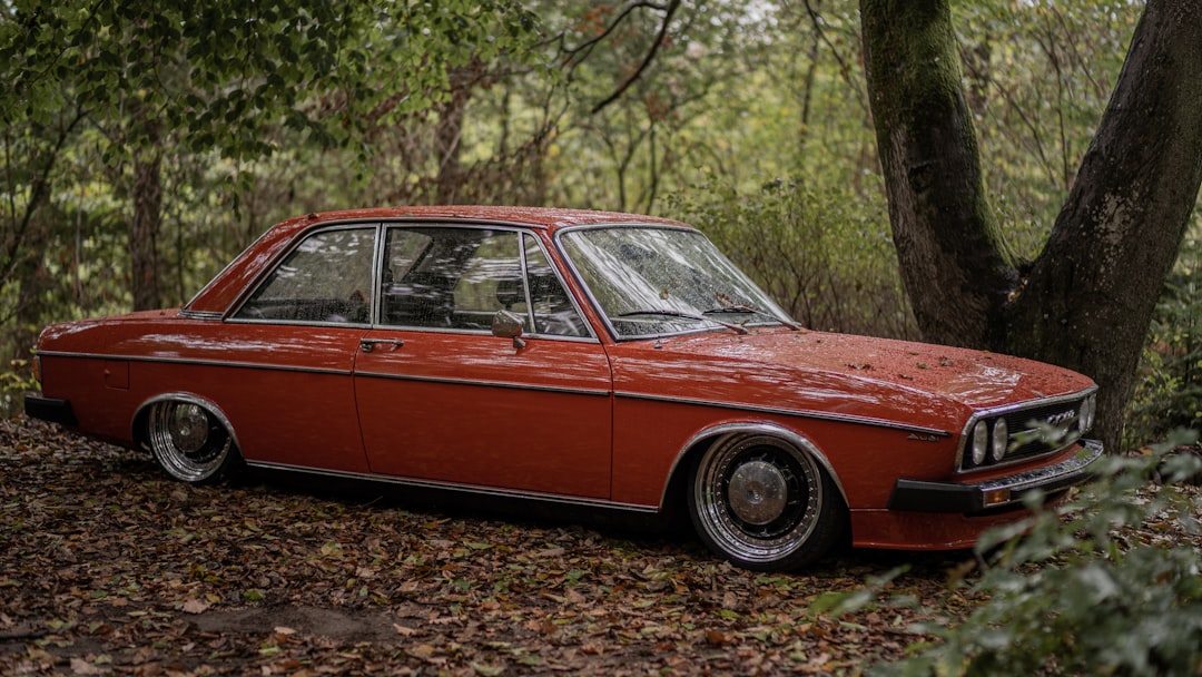 red sedan parked on forest during daytime