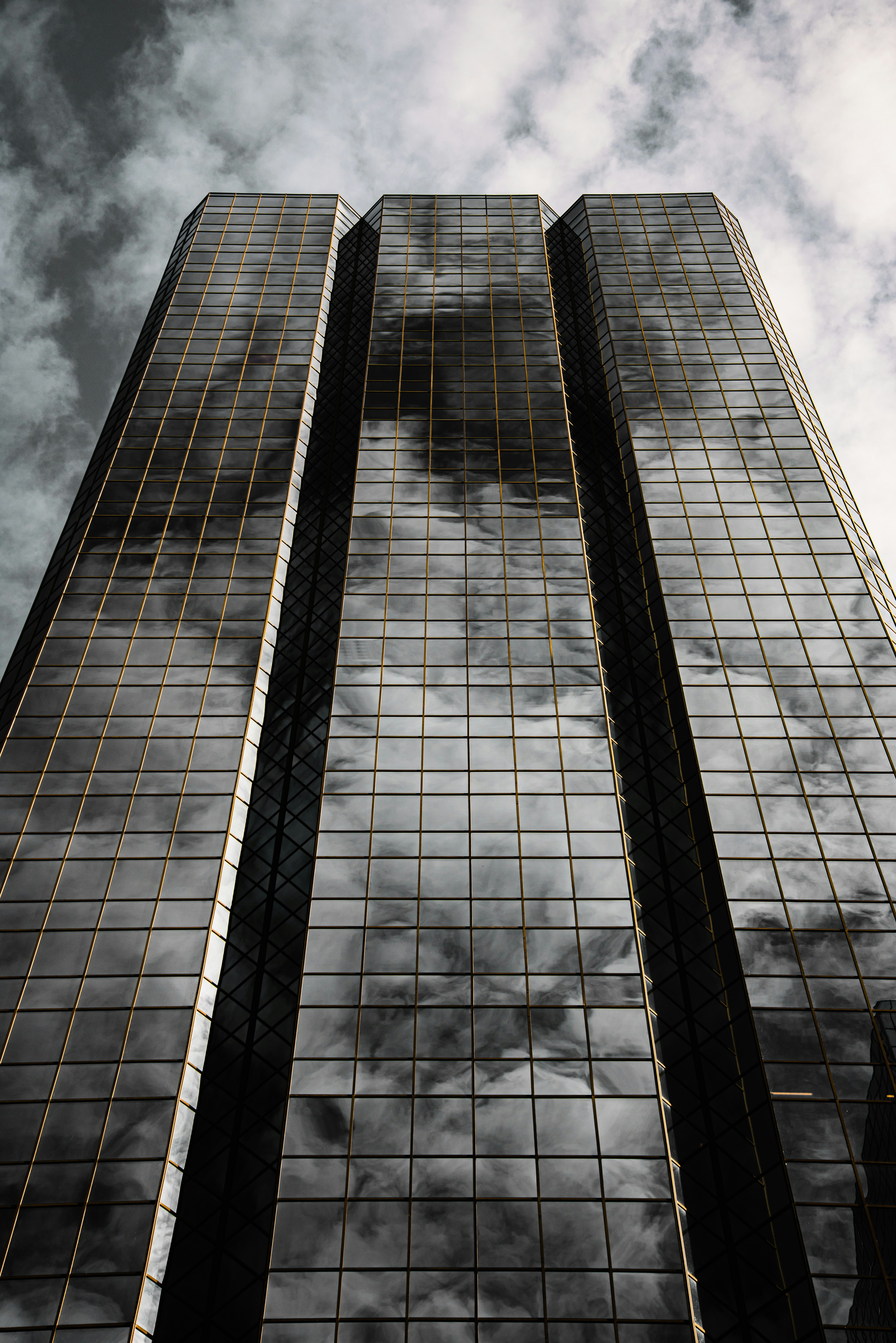 Photo by ryunosuke_kikuno