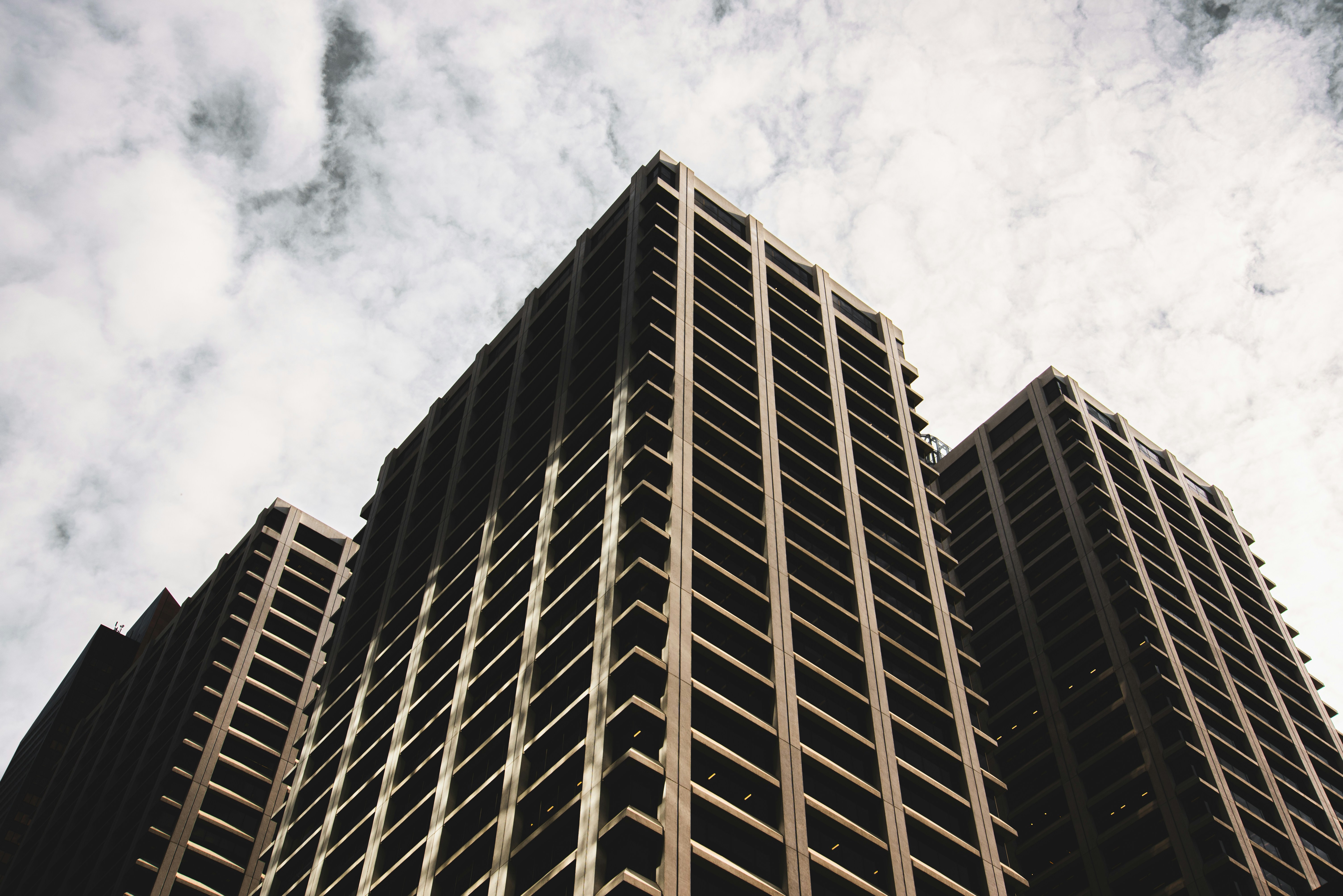 Photo by ryunosuke_kikuno