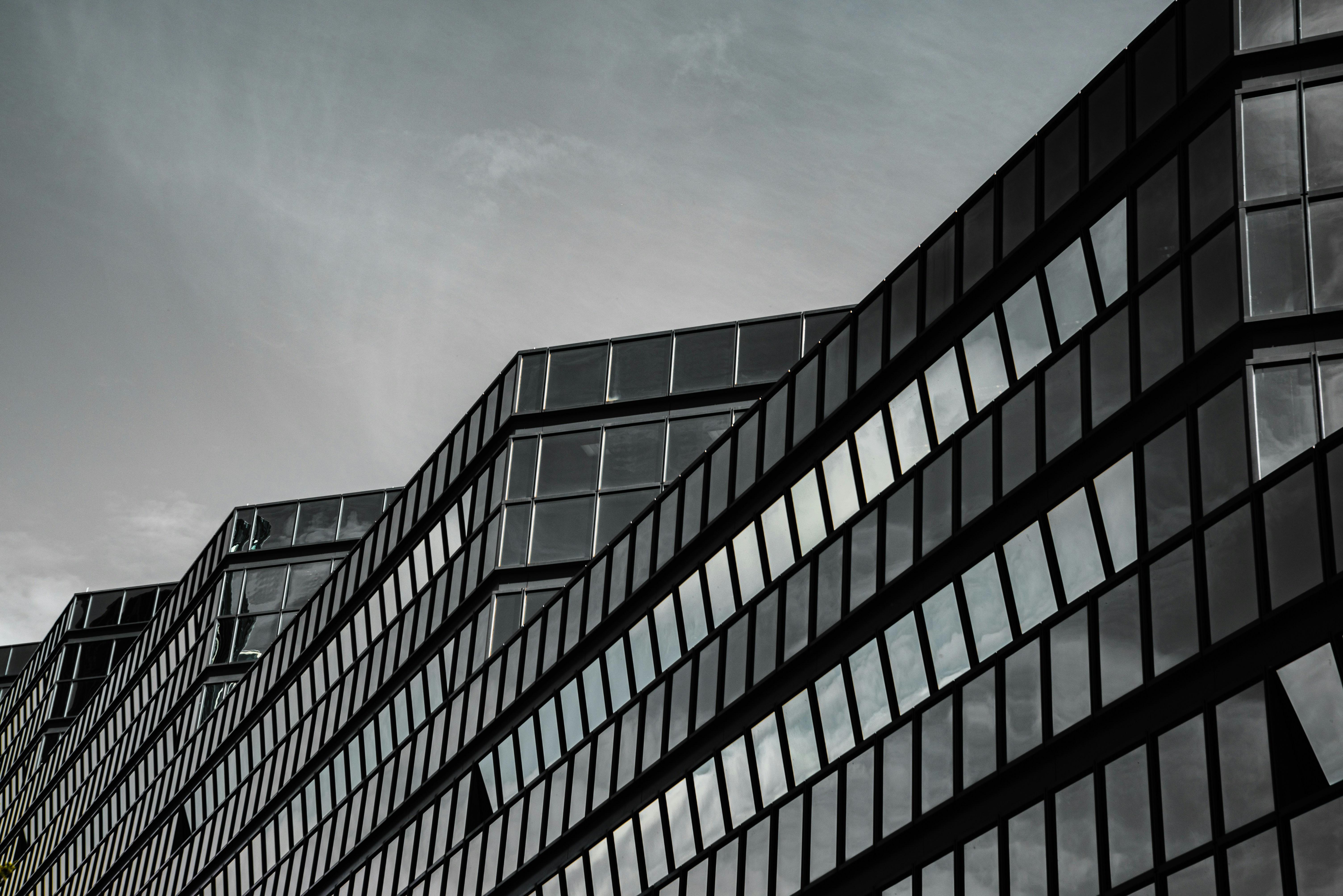 Photo by ryunosuke_kikuno