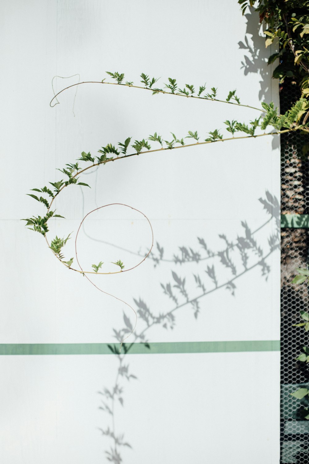 green and brown leaves on white paper