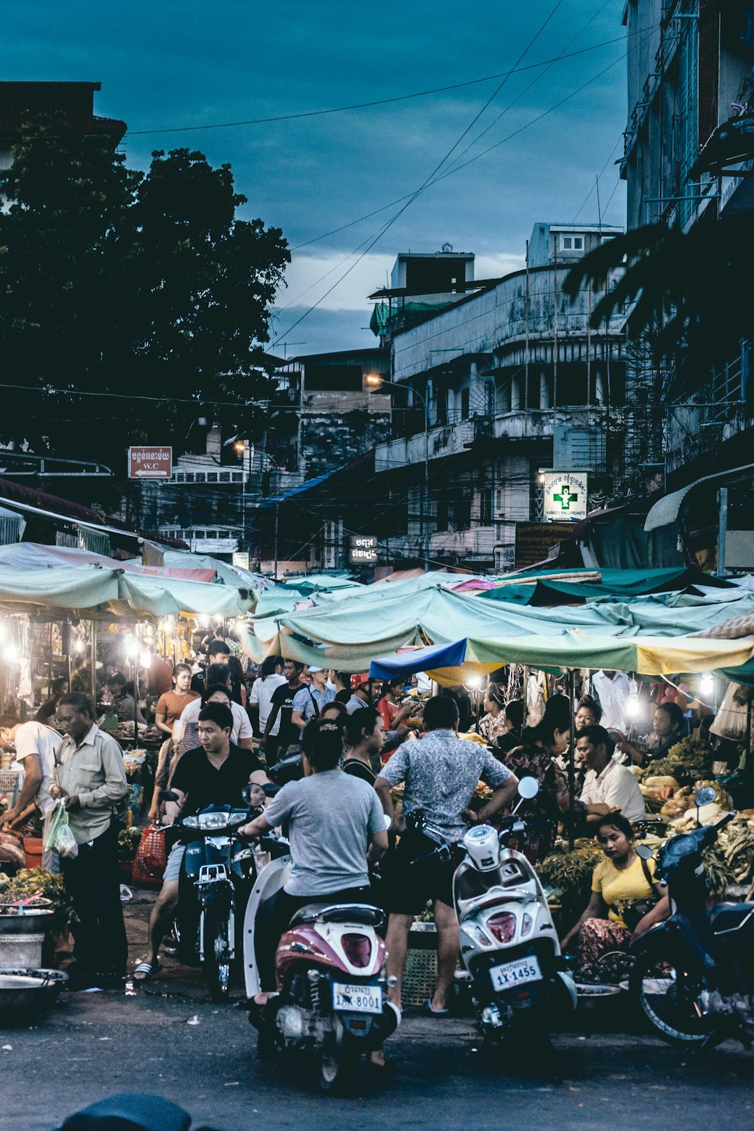 people on street during nighttime