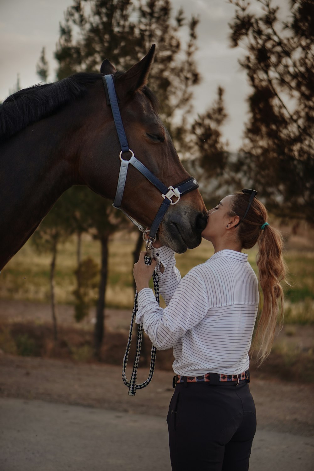 mulher em branco e preto listrado camisa de manga comprida beijando cavalo marrom durante o dia