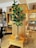 An indoor setting with a modern, cozy ambiance features a tall potted plant with broad green leaves placed on a wooden stand. Shelves filled with neatly folded towels and linens are visible in the background, along with decorative items and a chair with a woven texture.