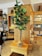 An indoor setting with a modern, cozy ambiance features a tall potted plant with broad green leaves placed on a wooden stand. Shelves filled with neatly folded towels and linens are visible in the background, along with decorative items and a chair with a woven texture.