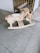 A wooden rocking motorcycle designed for children is placed on a tiled floor, adjacent to a wooden crib and a patterned carpet. The rocking toy features a light wooden finish and a small cushioned seat.