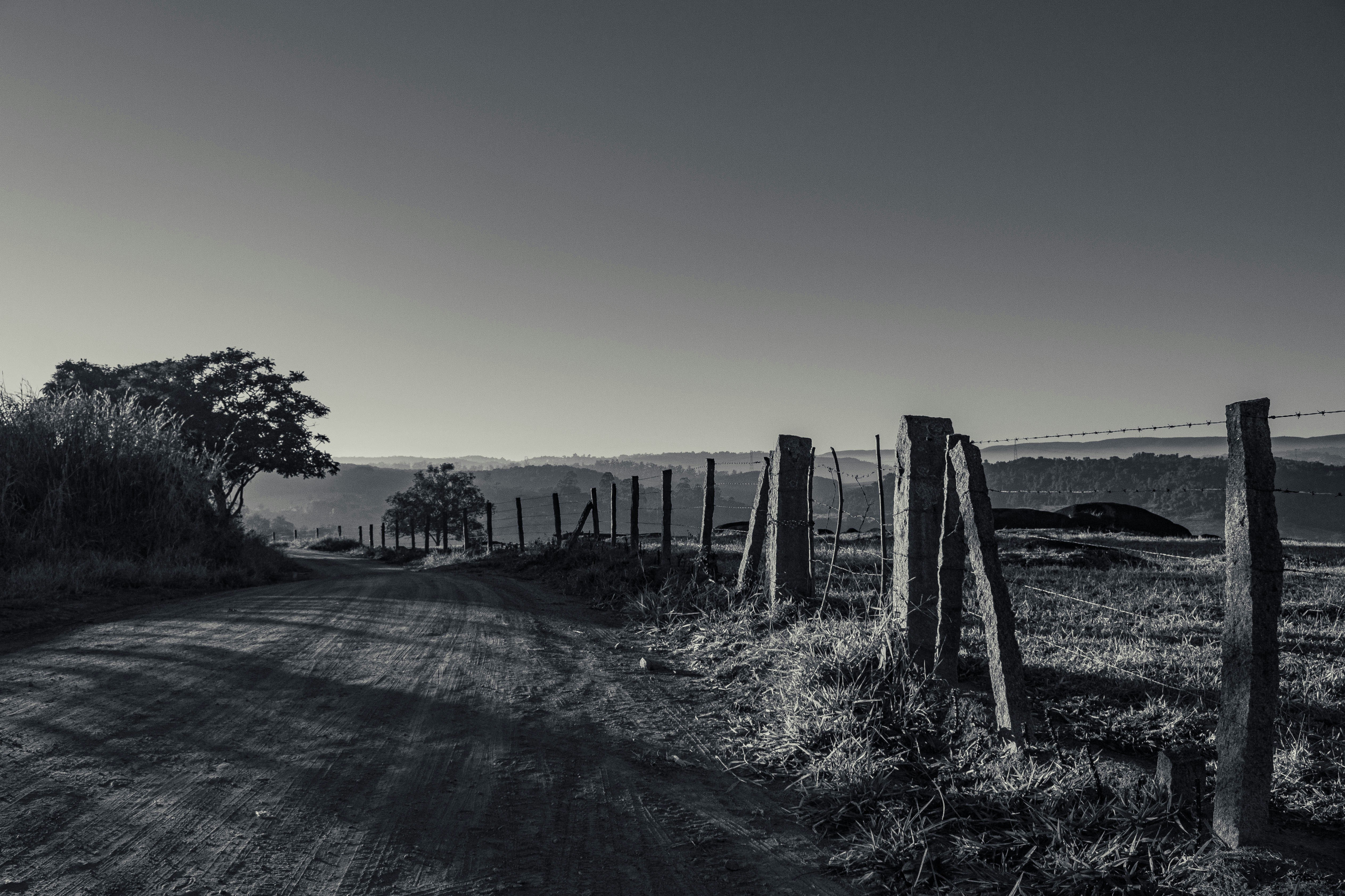 grayscale photo of wooden fence on field
