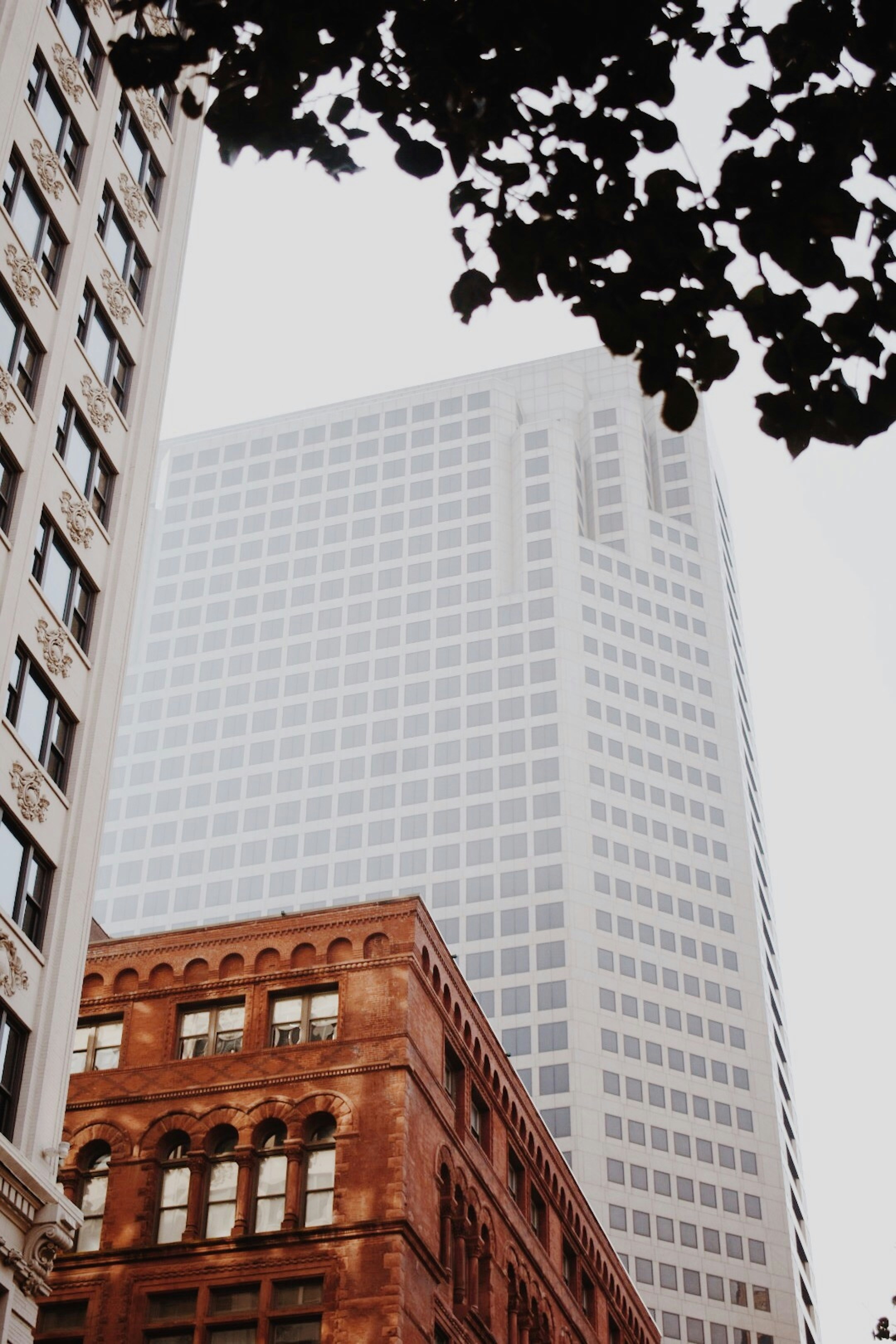 Photo by zoewilliams14