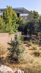 Building a Captivating Zoo Website: Showcasing Nature’s Wonders