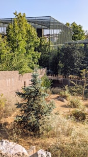 The image depicts an outdoor zoo enclosure with various green trees and plants. A sleeping tiger is visible on the ground alongside dirt and sparse vegetation. The enclosure is surrounded by fences and nets, with a clear blue sky in the background.