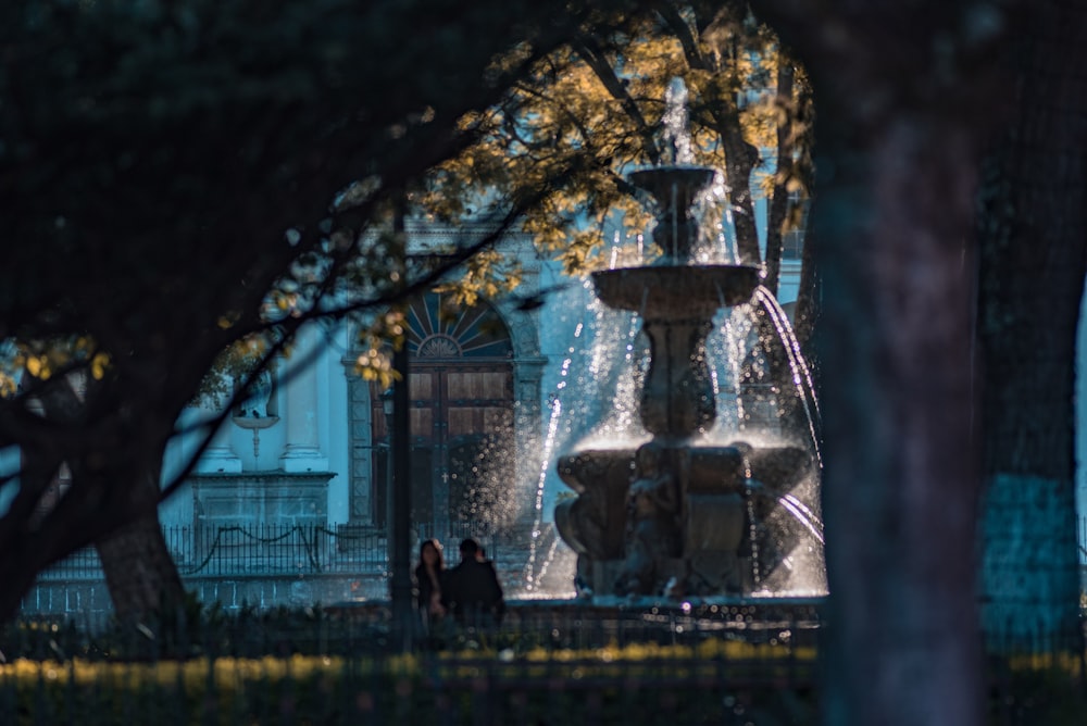 people walking on park with water fountain in front of building during night time