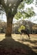 brown deer standing on brown dirt road during daytime