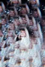 A visually complex image featuring a repeated pattern of a person in a white, sequined outfit. The person appears to be holding a reflective object, creating a kaleidoscope effect. The entire scene is adorned with sparkles and soft highlights, giving it a surreal and dreamy feel.