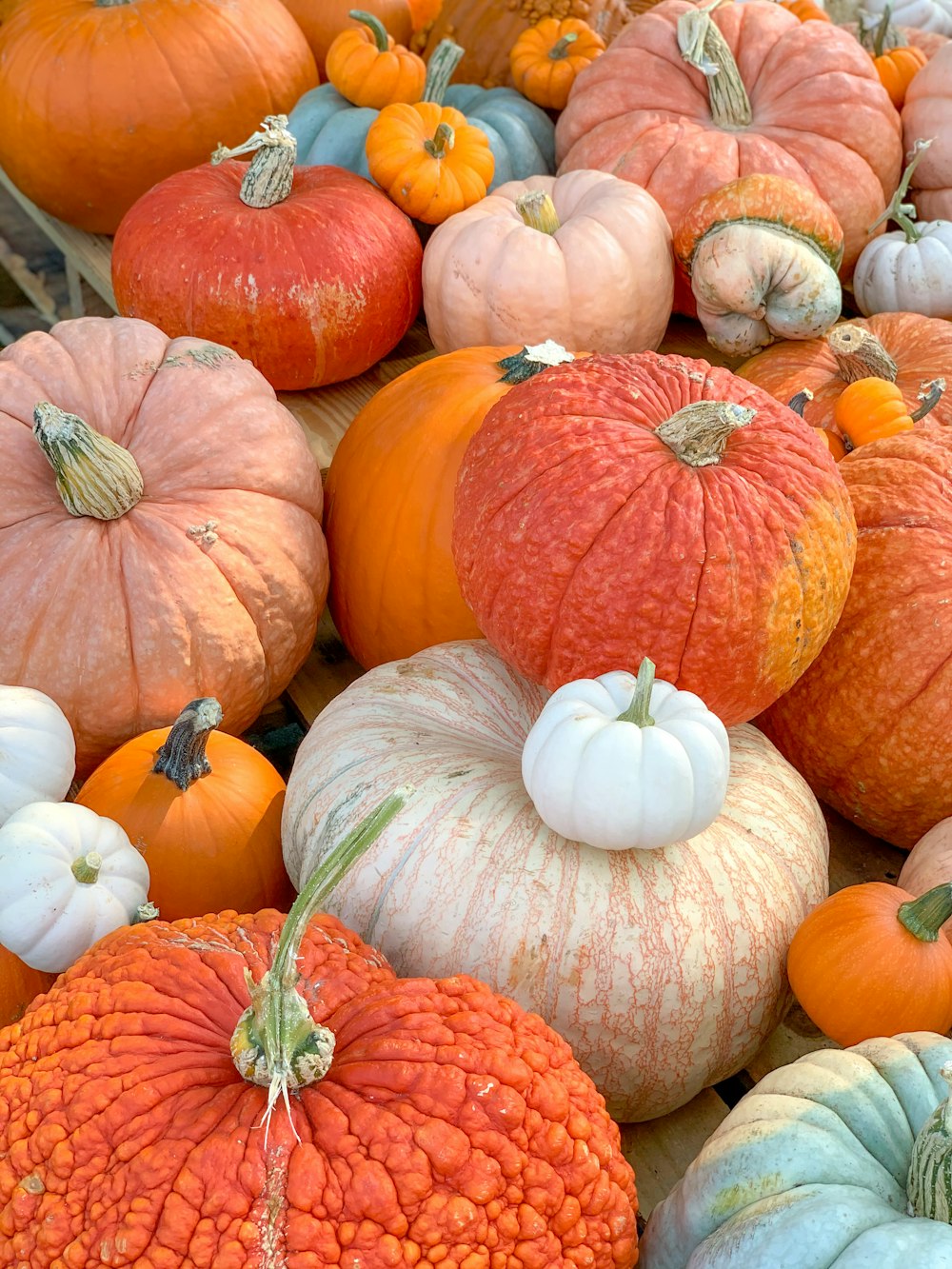 orange pumpkins on brown wooden table