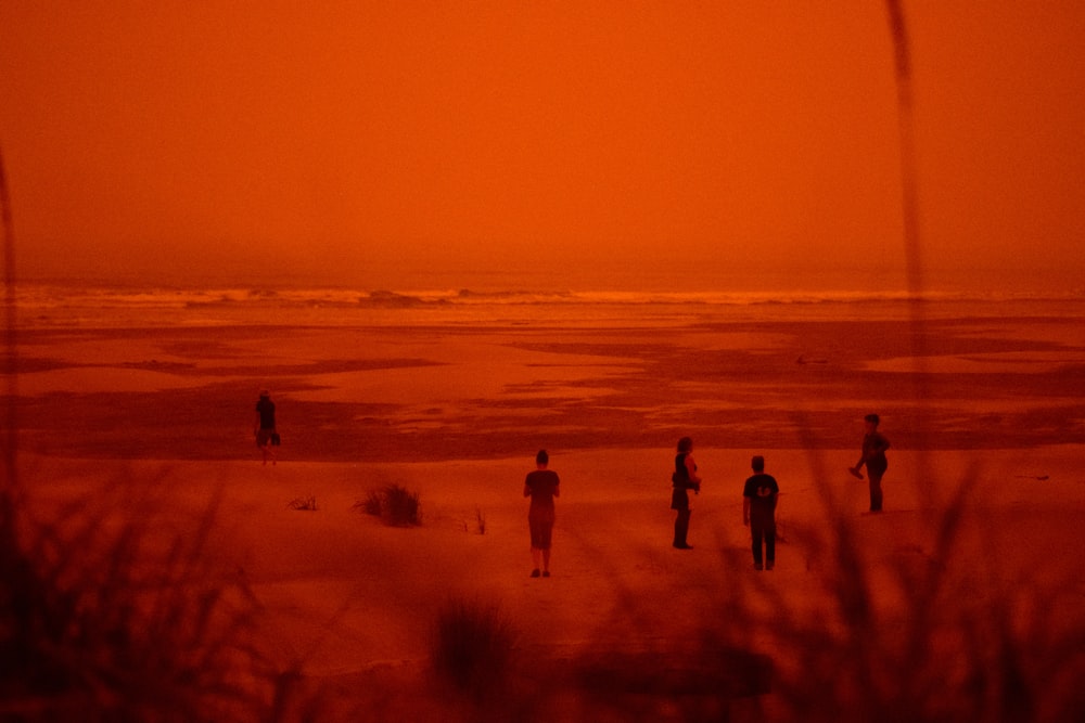 silhouette of people on beach during sunset