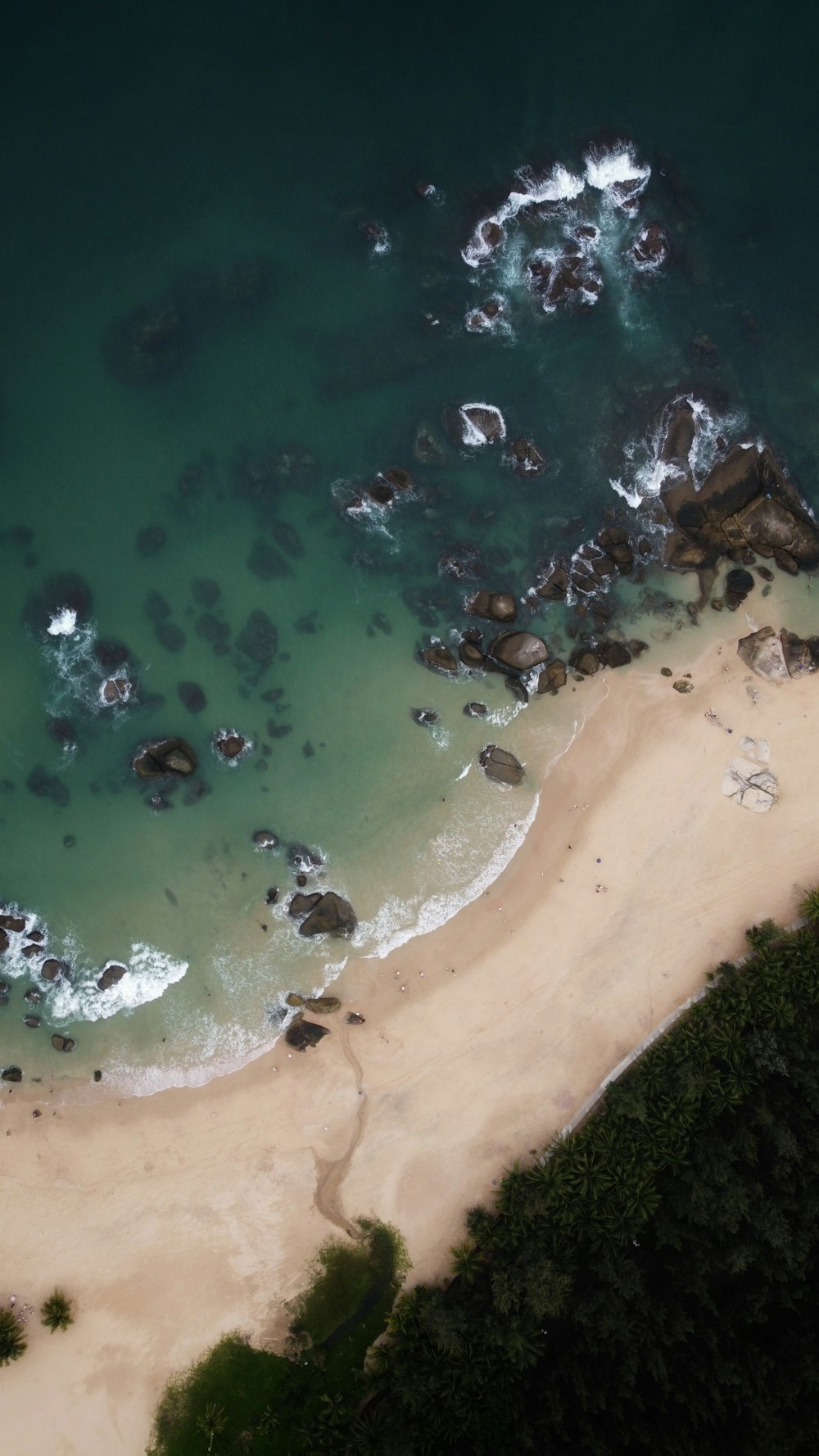 aerial view of people on beach during daytime