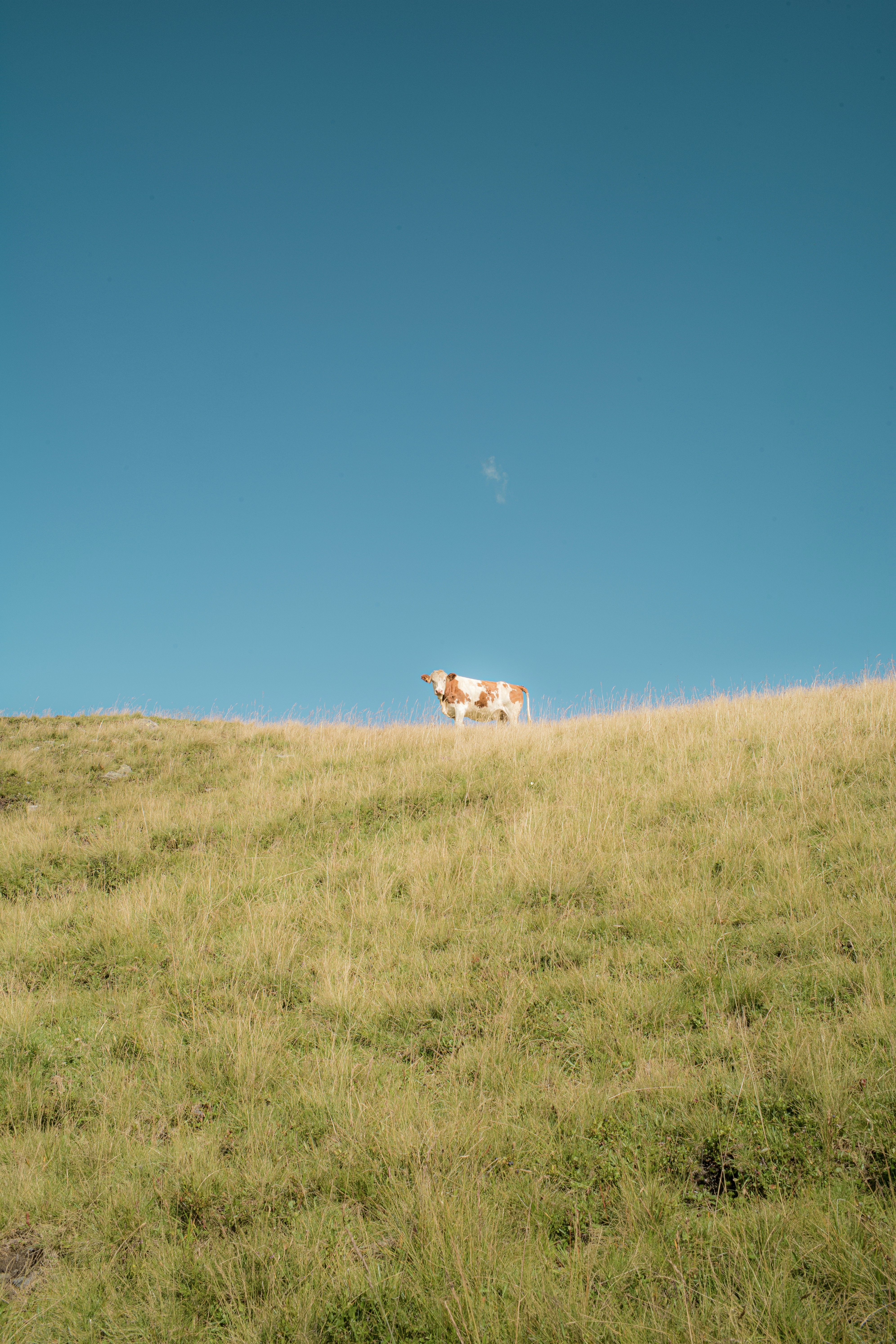 Photo by _schoenberger