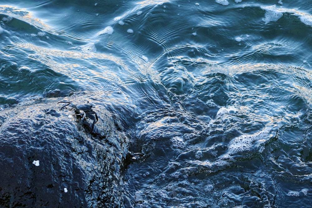 black rock on body of water