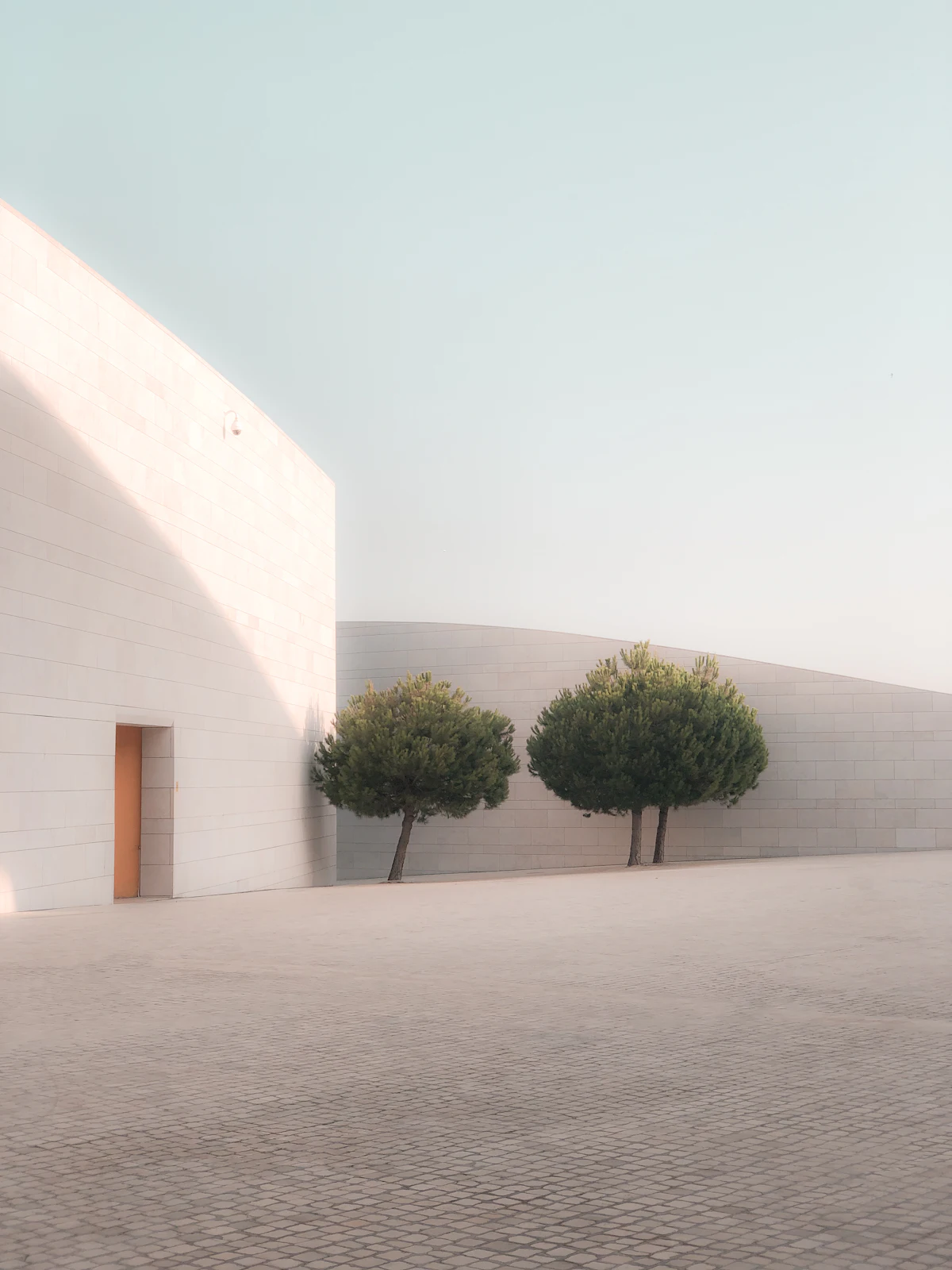Muro blanco de concreto con dos árboles al frente
