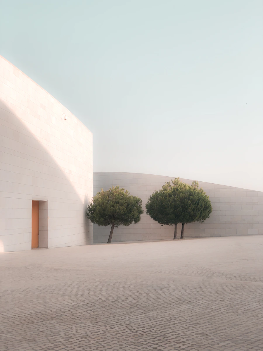 Two Cypresses & White Facade