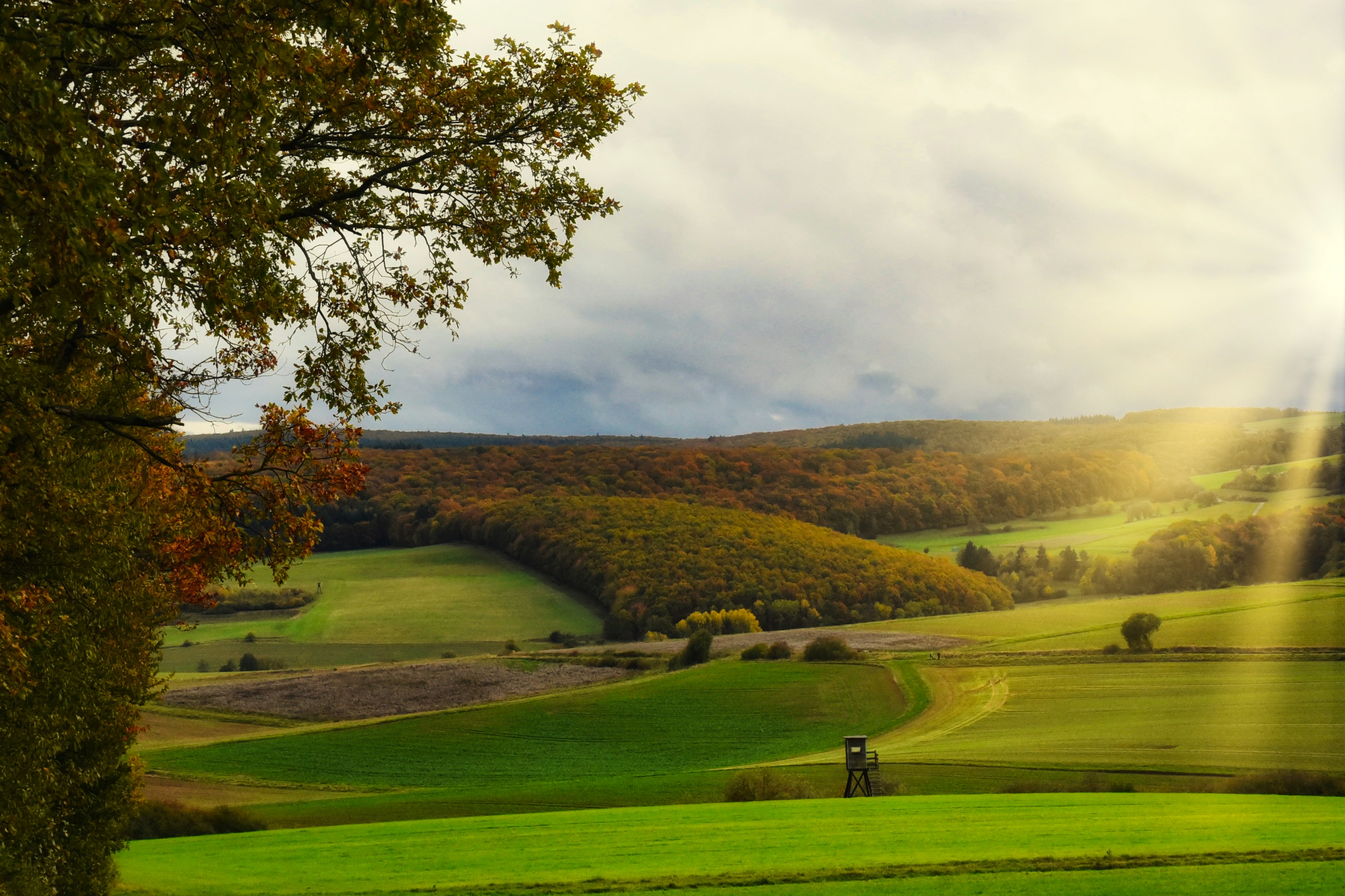 Photo by designbytholen