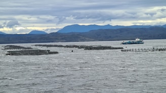 A large body of water with several fish farming cages scattered across the surface. A vessel, likely a fishing or service boat, is seen near the cages. In the background, there are distant mountains under a cloudy sky.