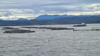 A large body of water with several fish farming cages scattered across the surface. A vessel, likely a fishing or service boat, is seen near the cages. In the background, there are distant mountains under a cloudy sky.