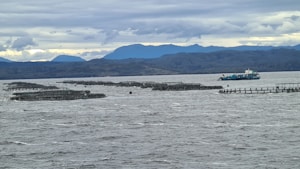 A large body of water with several fish farming cages scattered across the surface. A vessel, likely a fishing or service boat, is seen near the cages. In the background, there are distant mountains under a cloudy sky.