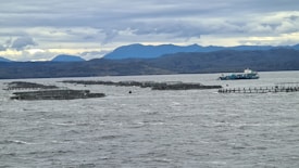 A large body of water with several fish farming cages scattered across the surface. A vessel, likely a fishing or service boat, is seen near the cages. In the background, there are distant mountains under a cloudy sky.