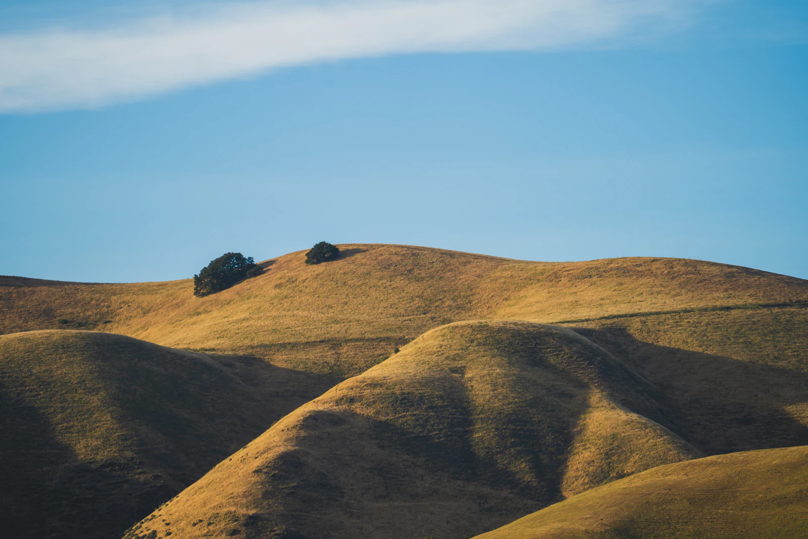 Golden-brown hills under a clear sky.