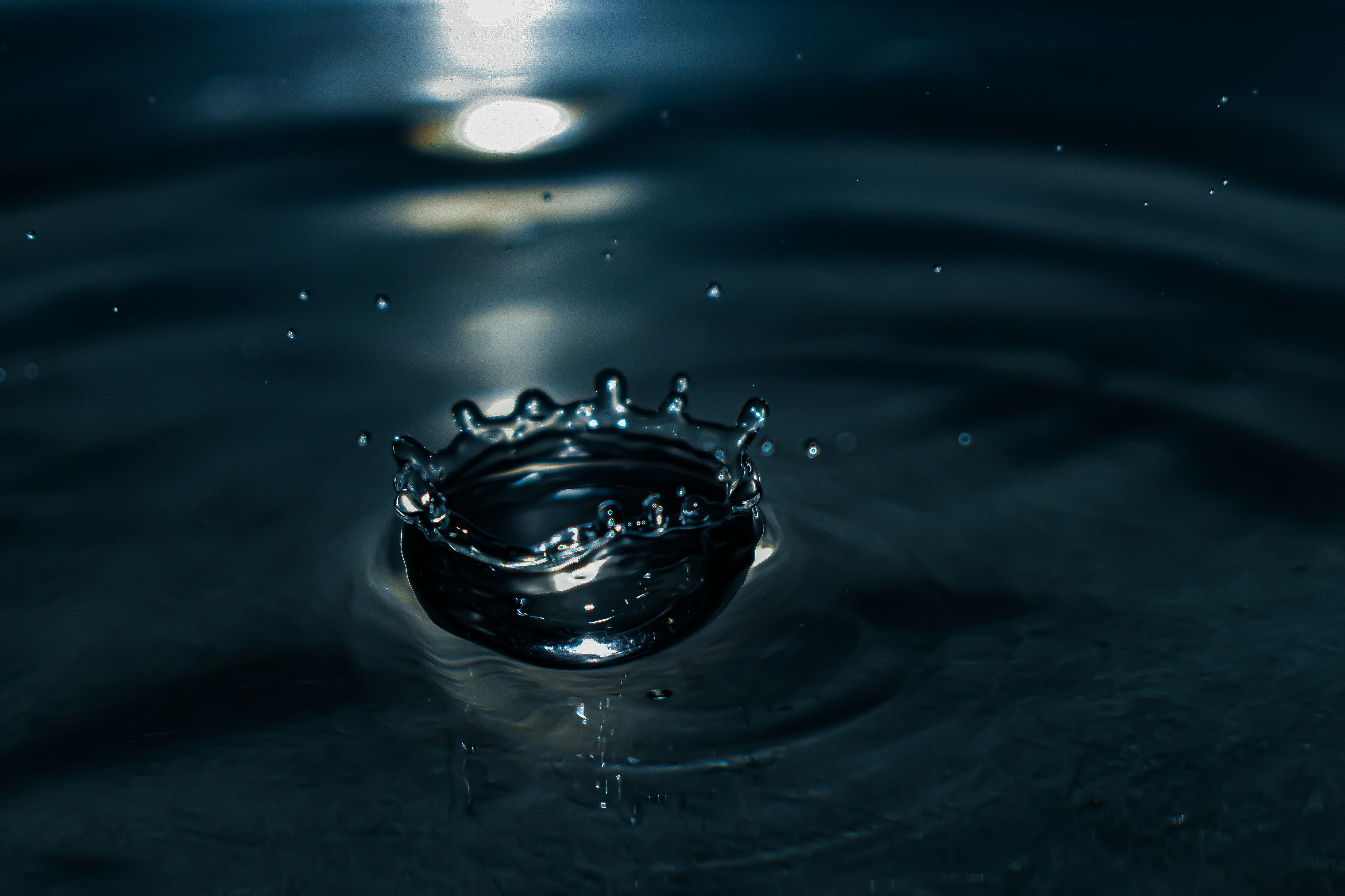 Photo by aruljames14