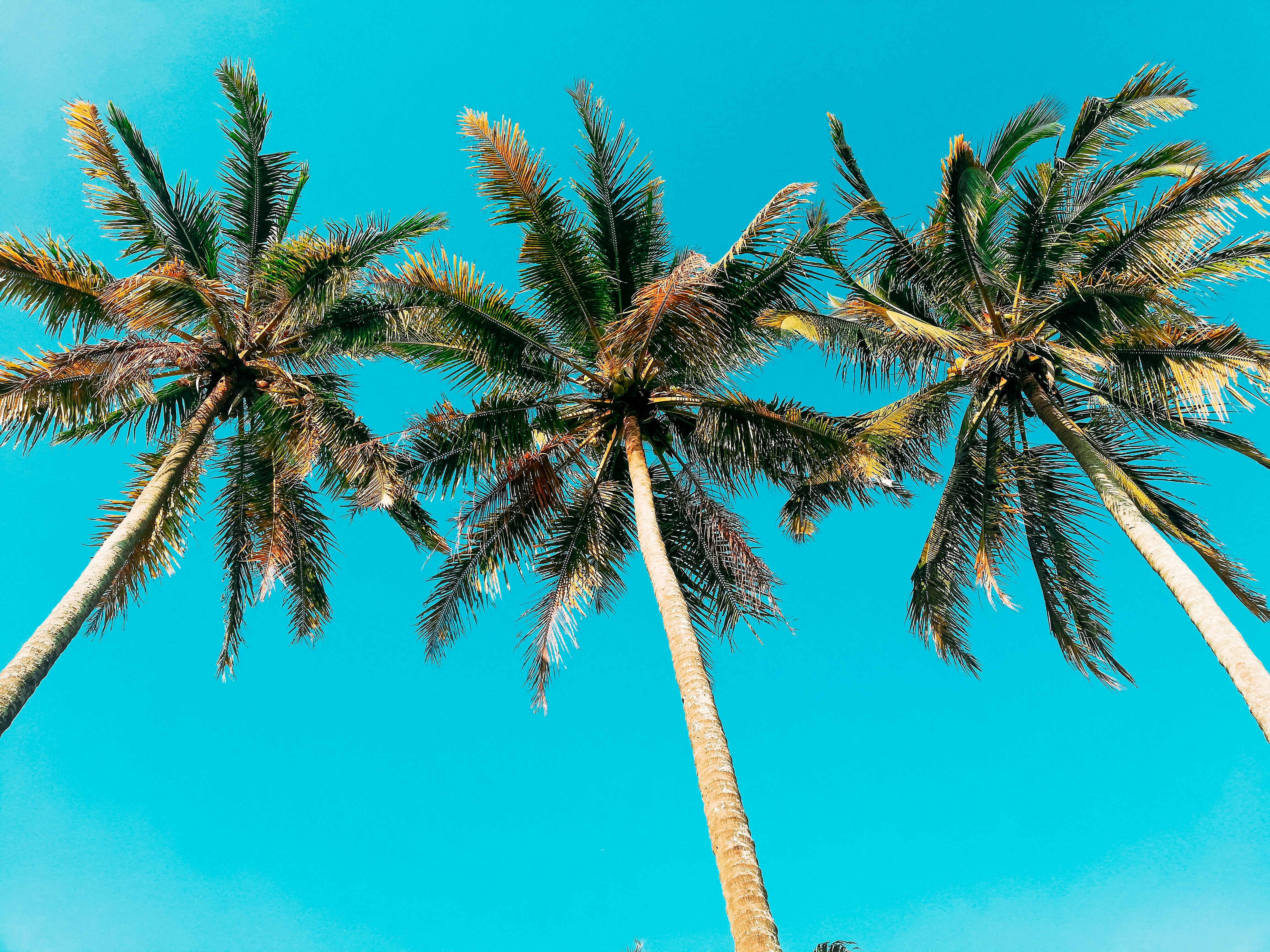 Photo by imoothography