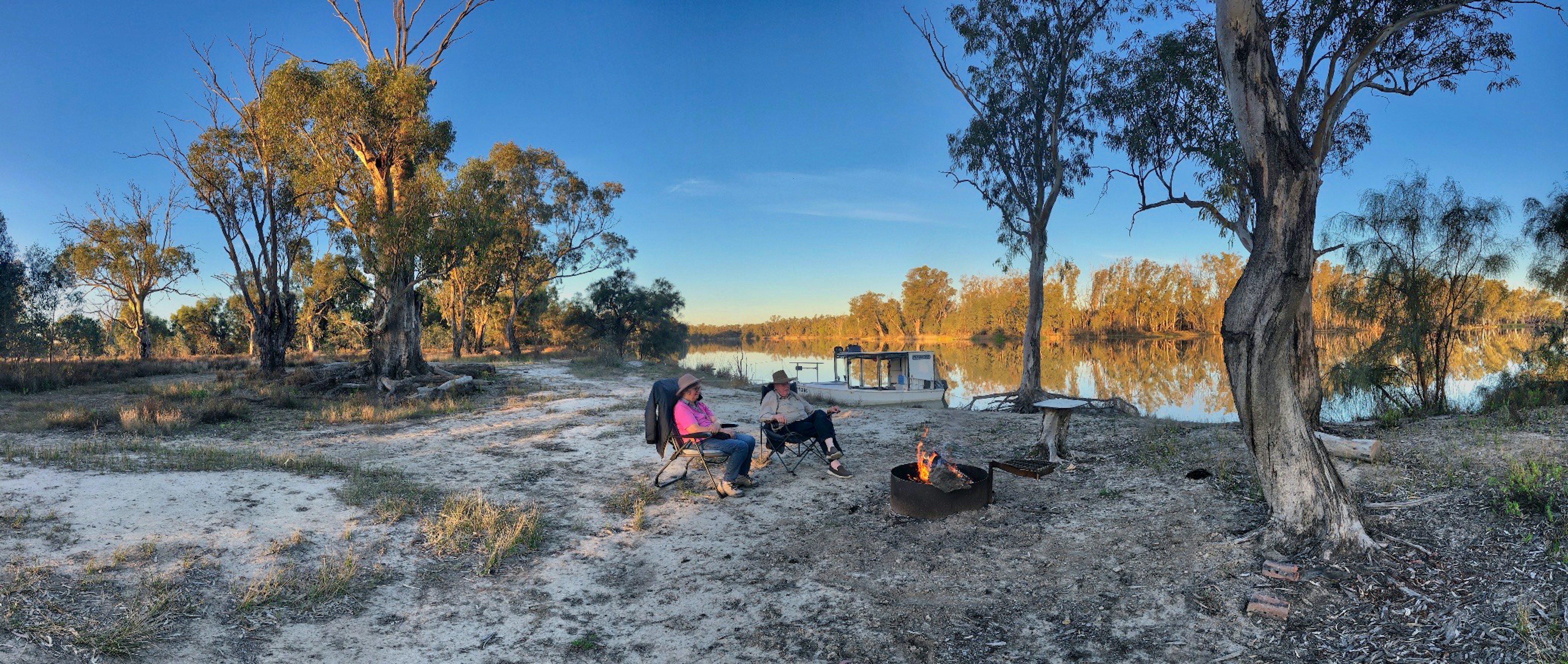 people sitting on ground near trees during daytime