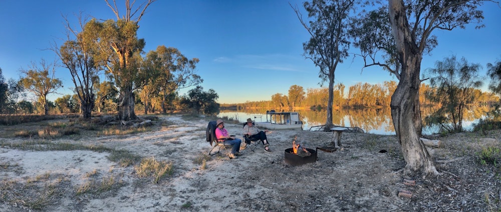 people sitting on ground near trees during daytime