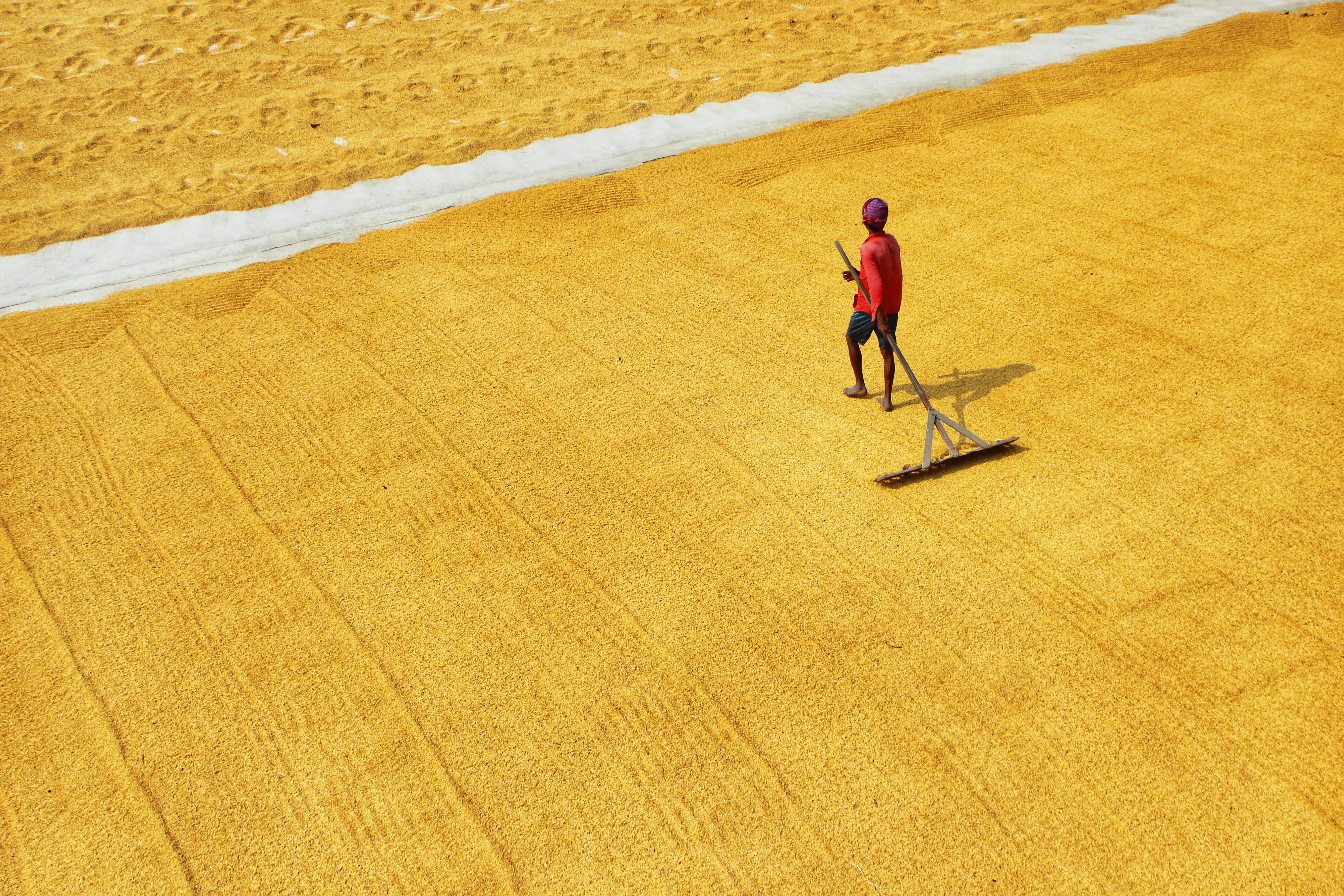 Photo by dibakar16roy