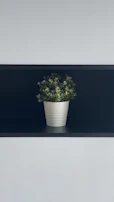 Close-up of a vibrant green plant in a minimalist ceramic pot on a sleek shelf.