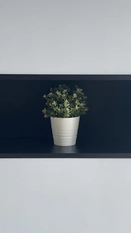 A minimalist white planter with a cascading pothos plant, placed on a wooden shelf.