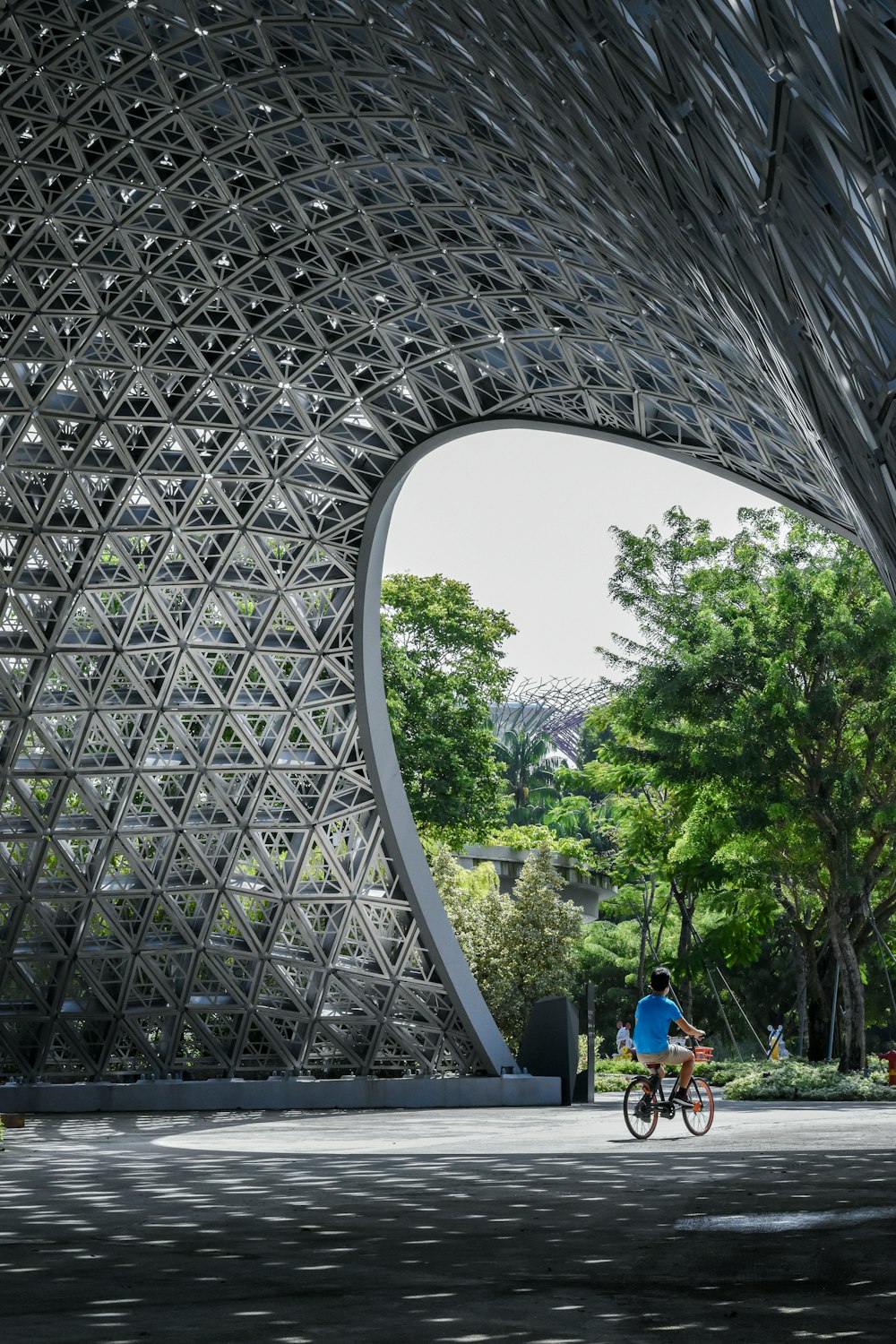 people sitting on bench near trees during daytime