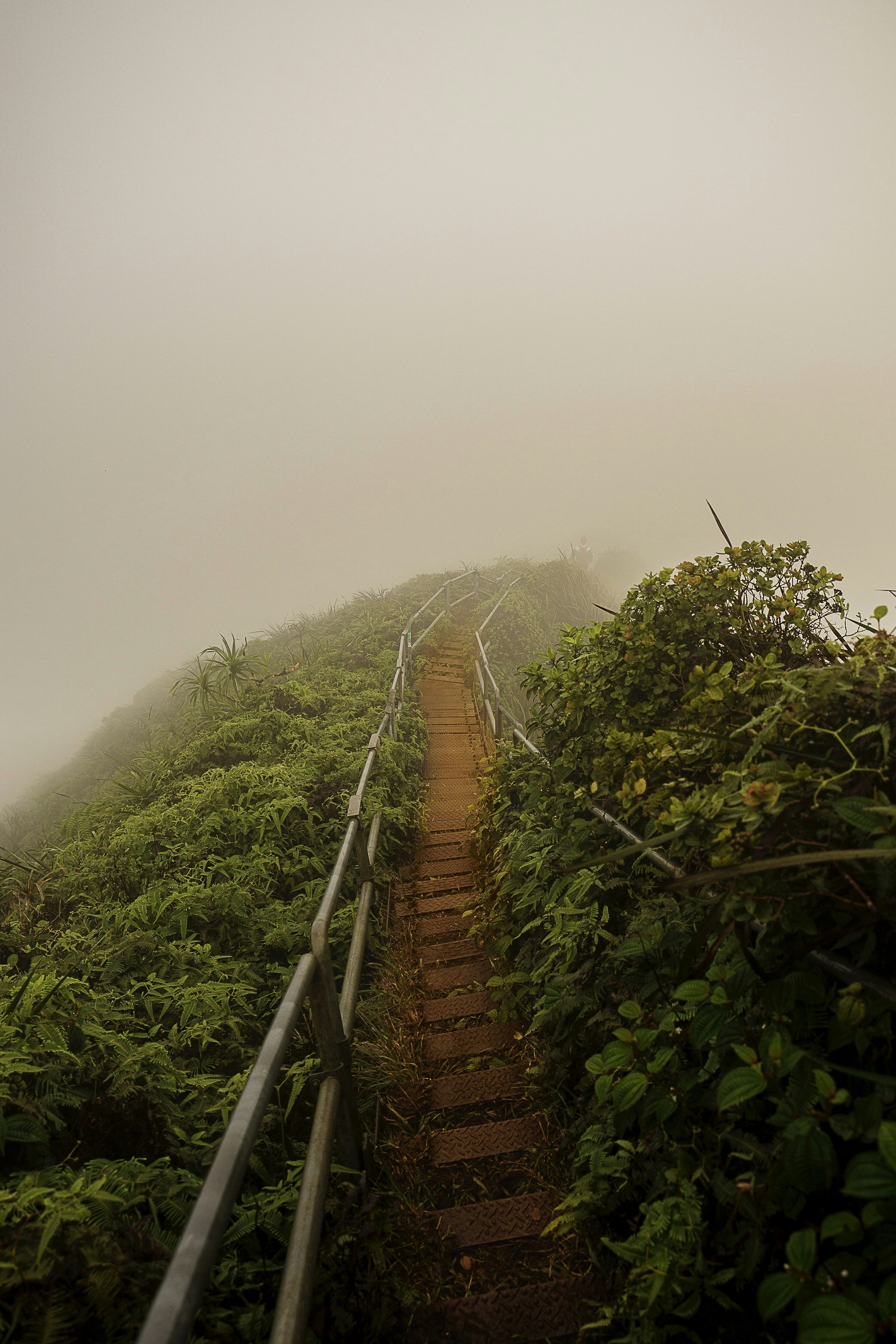 Photo by jess_adventures808