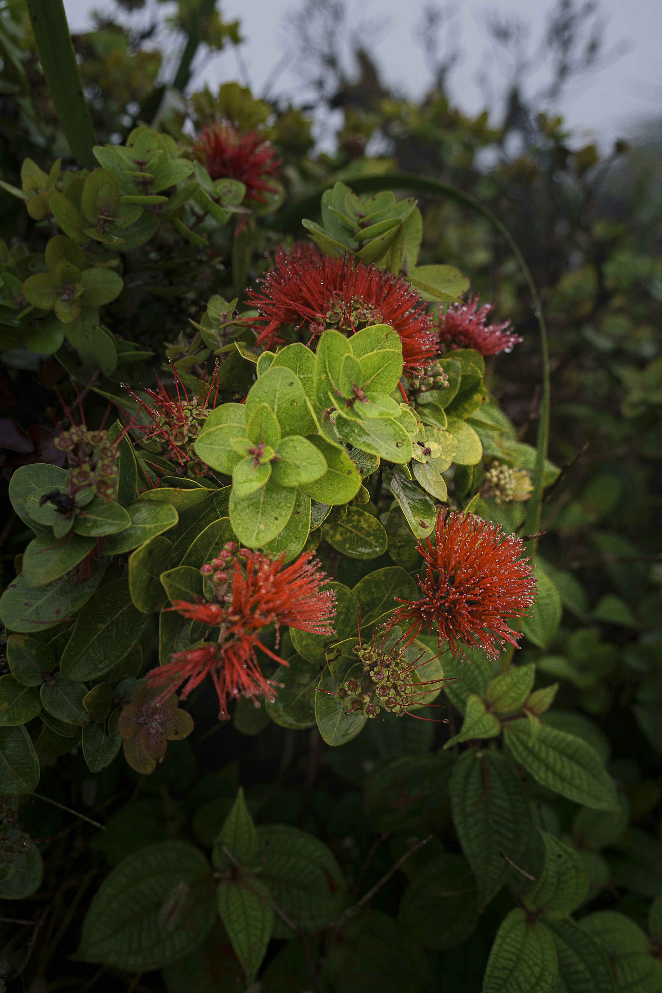 Photo by jess_adventures808