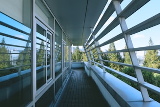 black metal railings near green trees during daytime