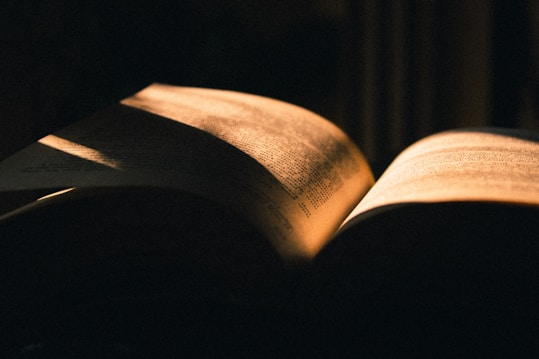 An open book with pages illuminated by warm, dramatic lighting, casting shadows across the text. The focus is on the play of light and shadow, creating an intimate and contemplative atmosphere.